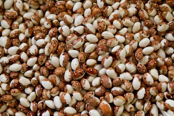 Spoustu fazolí — Stock fotografie