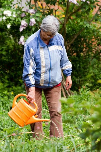 stock image Senior lady