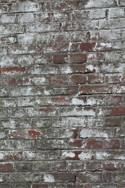 Old brick wall wth salt corrossion — Stock Photo, Image