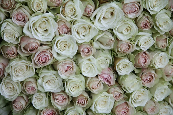 Arranjo floral feito de rosas rosa em diferentes tons — Fotografia de Stock