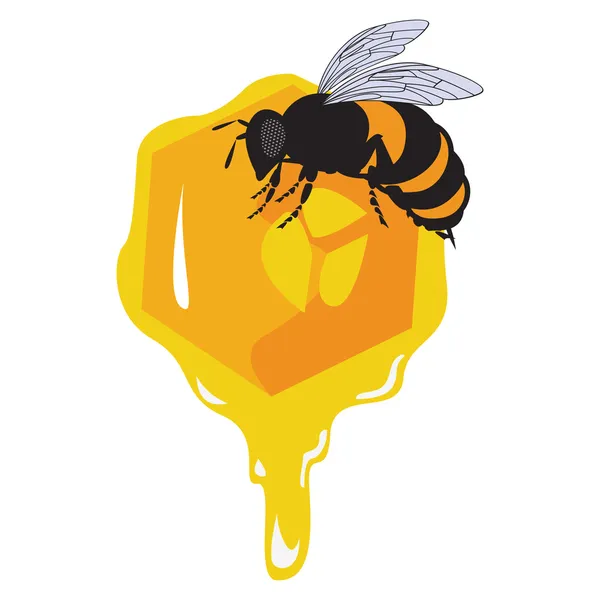 Le api vettoriali e nido d'ape con miele — Vettoriale Stock