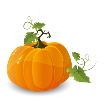 Vector halloween pumpkin clipart