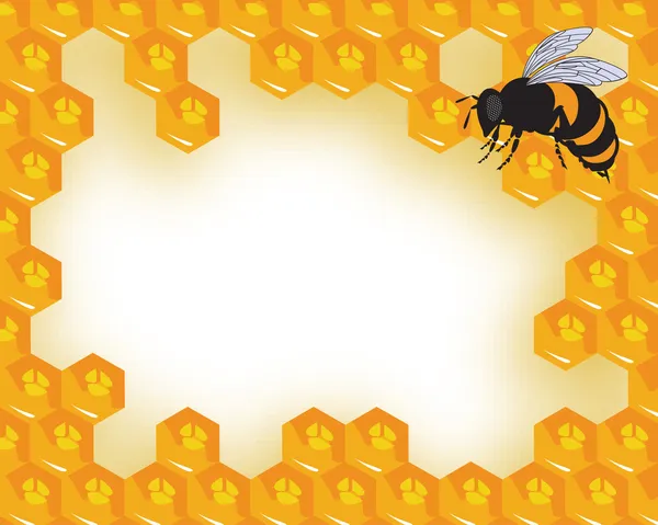 Oraz wektor pszczoły plaster miodu z miodem — Wektor stockowy