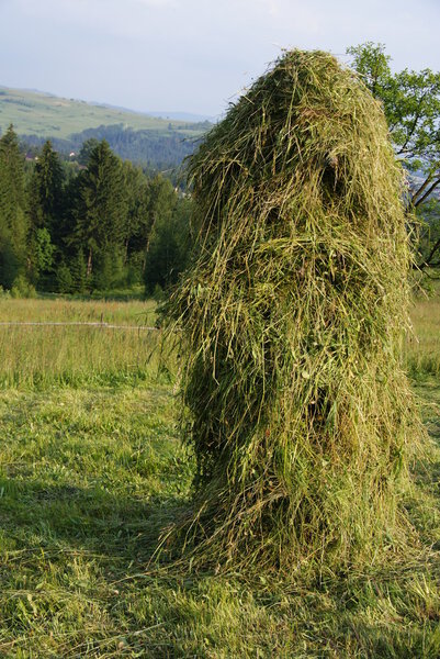Склон сена

