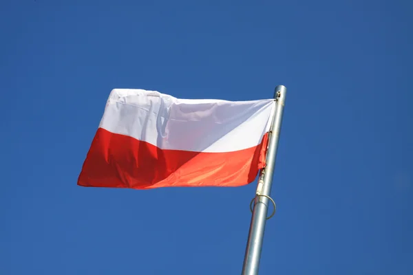 Polska flaggan under blå himmel — Stockfoto