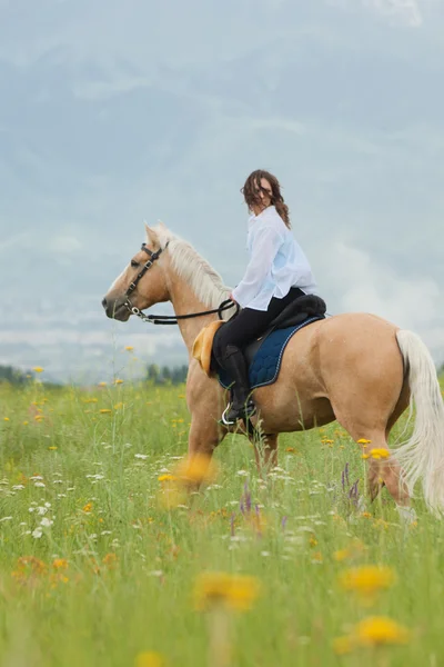 På hästen — Stockfoto