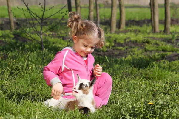 작은 염소 애완 동물 및 아이 — 스톡 사진