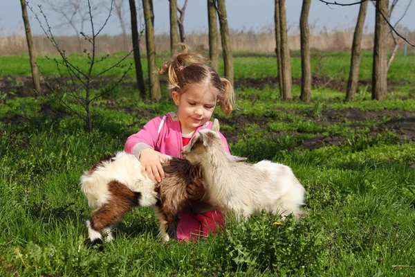 Jeu d'enfant avec deux petites chèvres — Photo