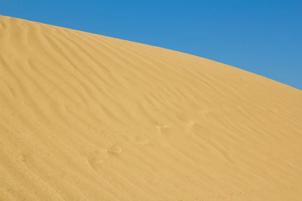 Dune de sable doré — Photo