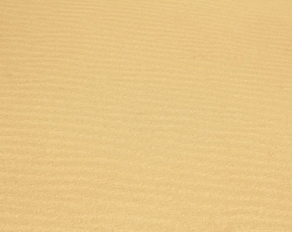 Sand dune texture background