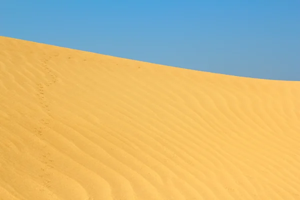 Dune di sabbia con piccole tracce di animali — Foto Stock