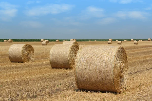 Balle di paglia agricoltura industria — Foto Stock