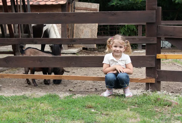 Kleines Mädchen auf dem Bauernhof — Stockfoto