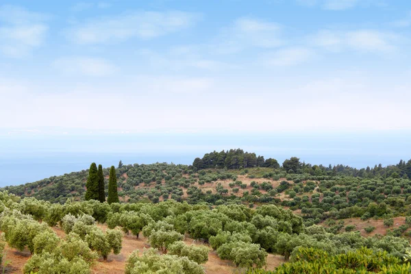 Грецький пейзаж Сітонія Халкідікі — стокове фото