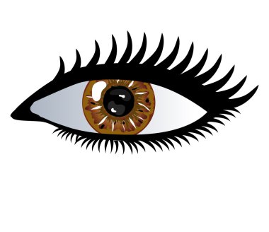 Human eye clipart