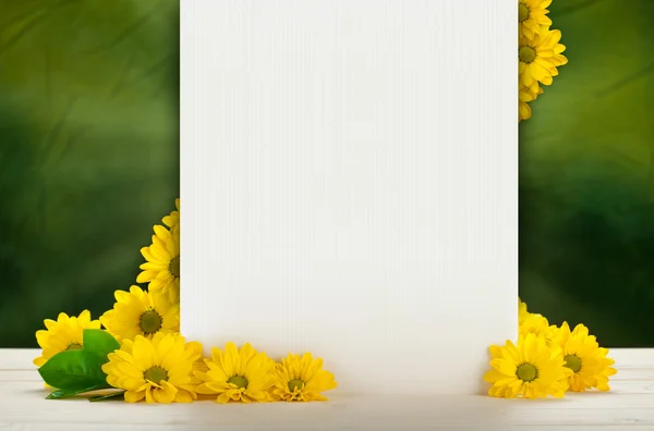 Квітковий фон - порожня листівка та літні квіти — стокове фото