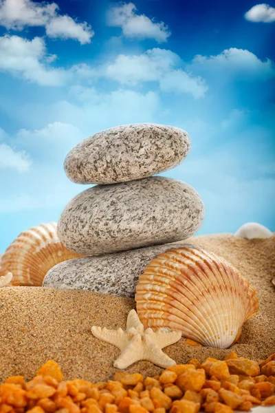 Beach - Stones and shells on sand — Stock Photo, Image