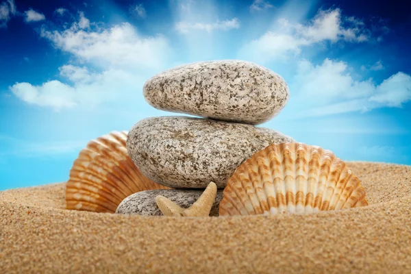 石や貝 — ストック写真