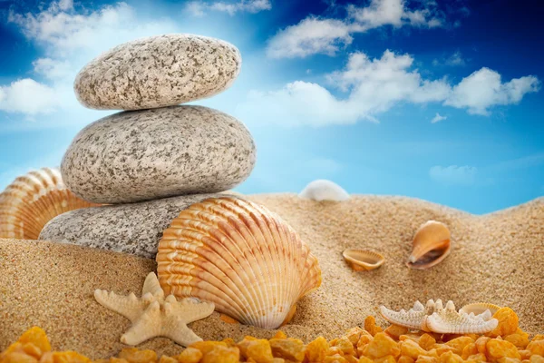 Vacaciones - Sumemr playa; piedras y conchas —  Fotos de Stock