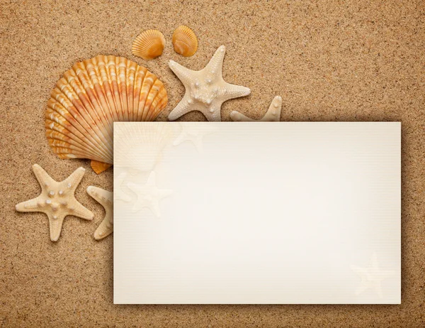 Zomer achtergrond - schelpen op zand en lege kaart — Stockfoto