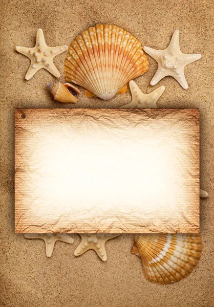 Conchas, areia e cartão em branco - fundo de verão — Fotografia de Stock
