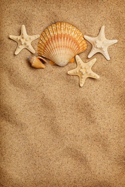 Zeeleven en strand - zomer achtergrond — Stockfoto