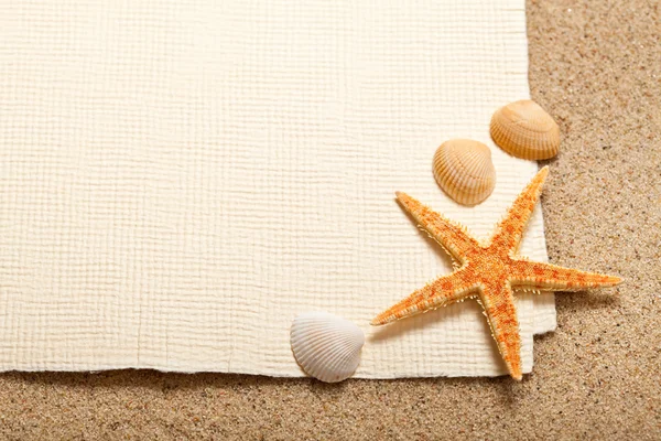 Kagyló, tengeri csillag és üres papír lapot — Stock Fotó