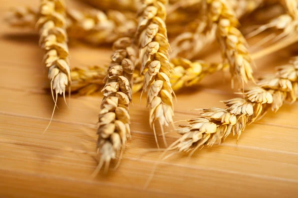 Wheats — Stock Photo, Image