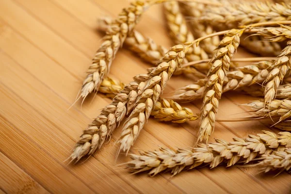 Wheats — Stock Photo, Image