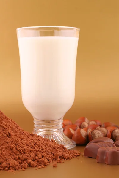 Milch, Kakao, Schokolade und Nüsse — Stockfoto