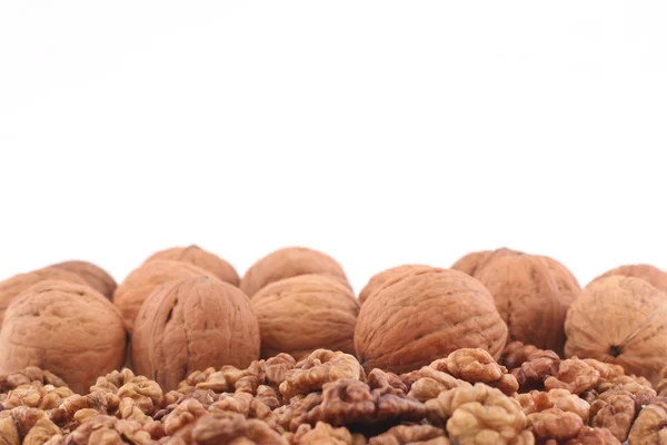Ořechy izolovaných na bílém — Stock fotografie