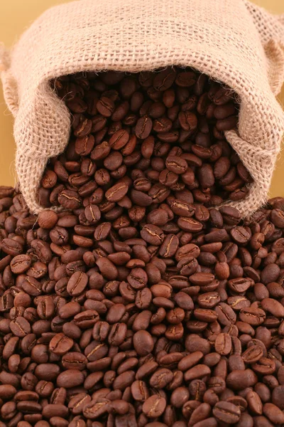 Korrels van koffie — Stockfoto