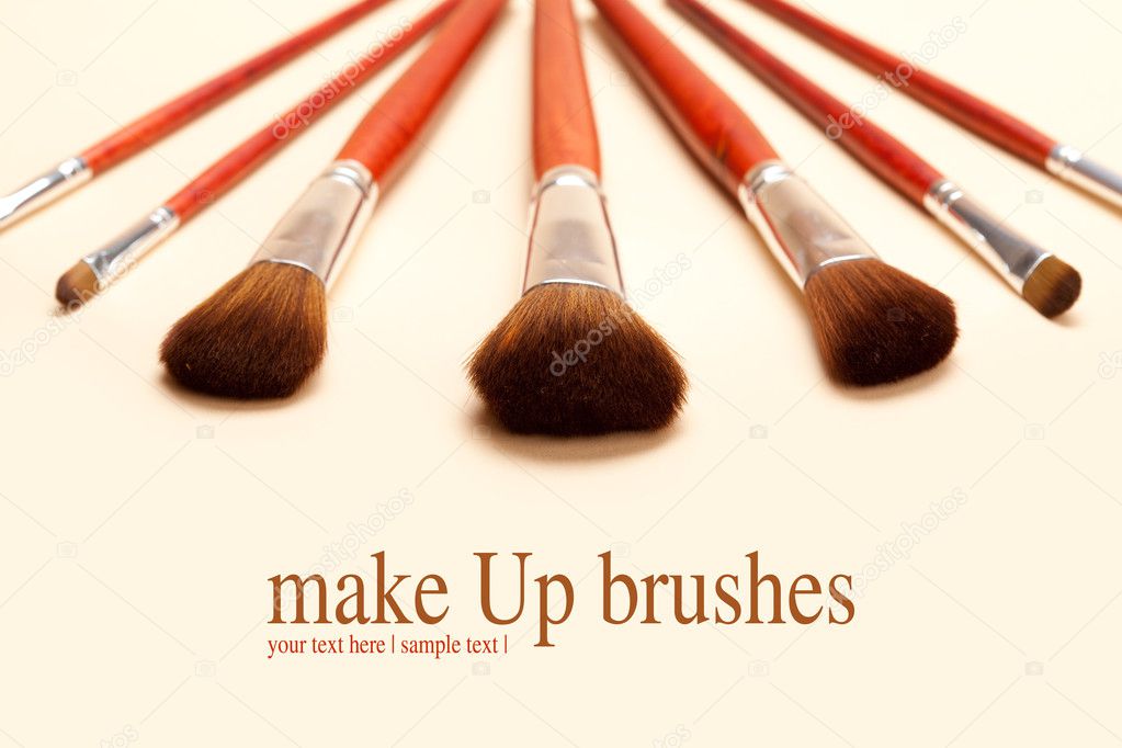 Professional make-up brushes