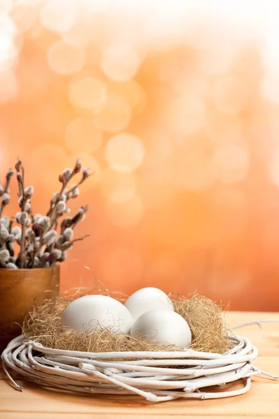 Catkin y huevos en el nido —  Fotos de Stock
