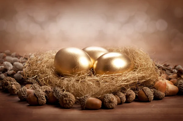 イースター - 巣に黄金の卵 — ストック写真