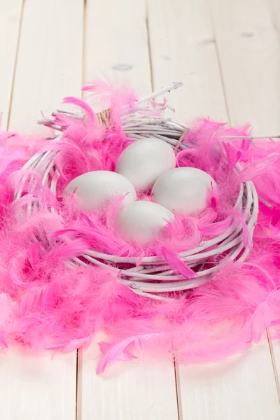 白蛋，粉红色羽毛 — 图库照片