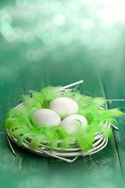 Три белых яйца в гнезде, полном зеленых шлейфов — стоковое фото