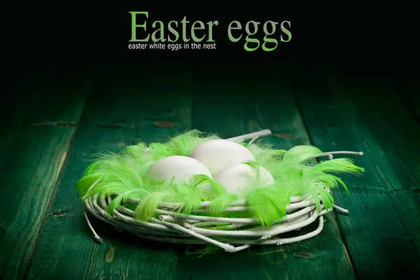 Pasen eieren in het nest en groene pluimen — Stockfoto