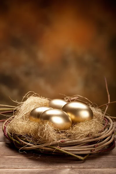 Arany fészek tojás — Stock Fotó