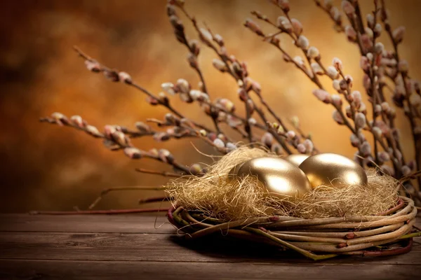 Easter eggs in the nest and catkin Stock Photo
