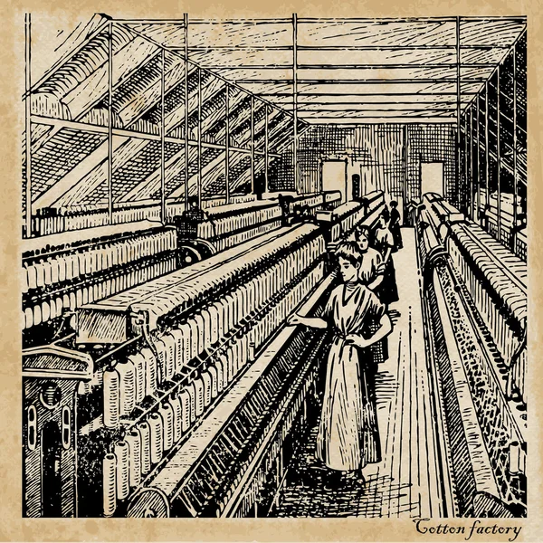 Bomull fabrik — Stock vektor