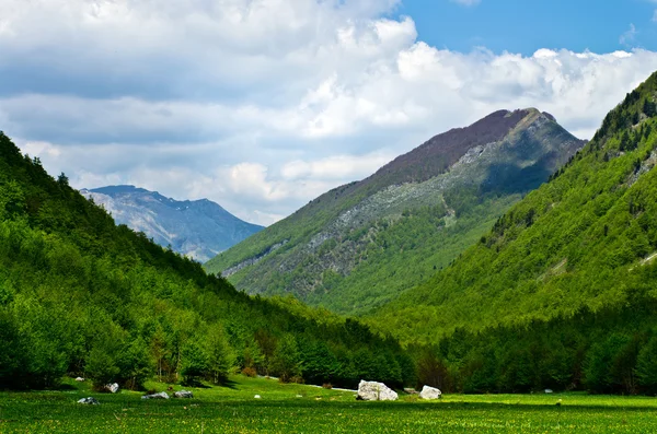 Grabaja Dolina. Czarnogóra — Zdjęcie stockowe