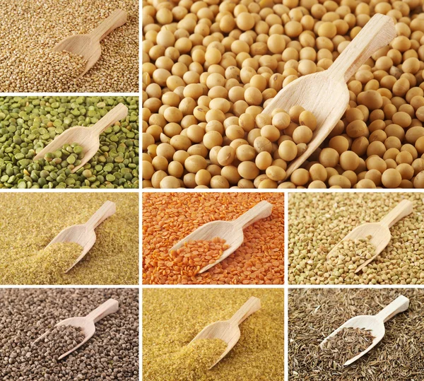 Sada sušených fazolí — Stock fotografie