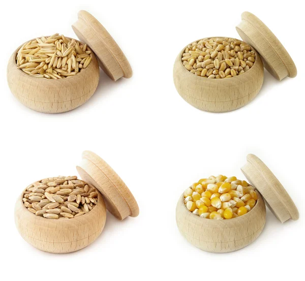 Овес, пшеница, ячмень, кукуруза — стоковое фото