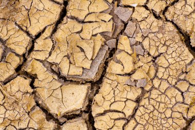 Global warming - parched earth. Drought. clipart