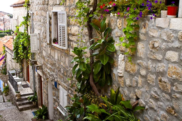 Dubrovnik sokaklarında. — Stok fotoğraf