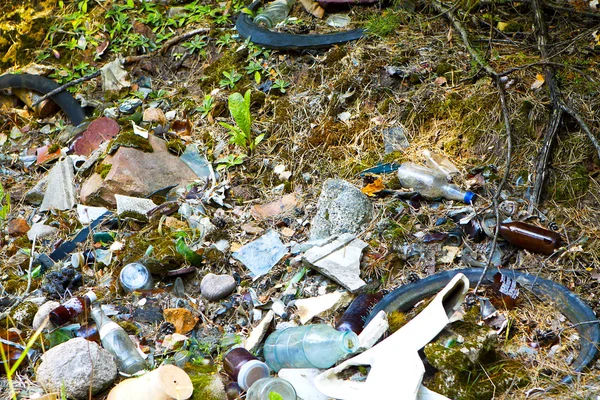 stock image Rubbish in forest, woods.