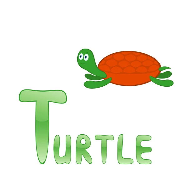 Roliga alfabetet sköldpadda — Stock vektor