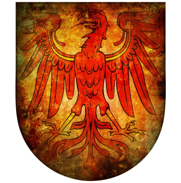 Brandenburg ceket kol — Stok fotoğraf