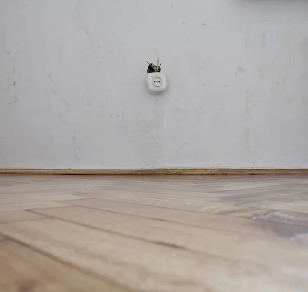 Stock image Socket with cables